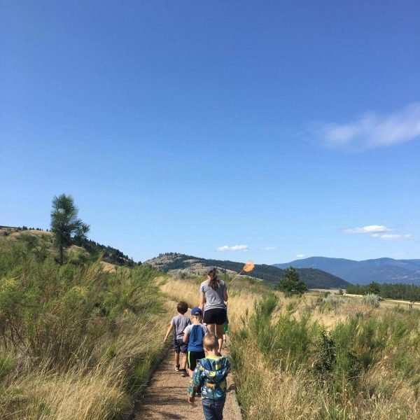 67615278_2072967359679897_8979184441494601728_n-scaled