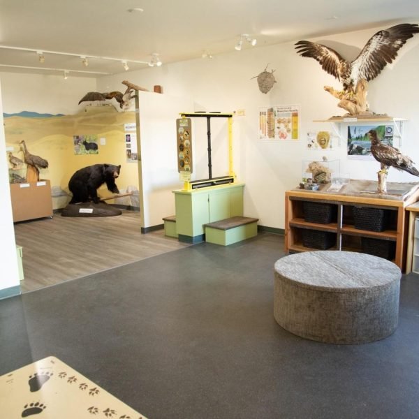 Displays-Discoevry-room-2-scaled