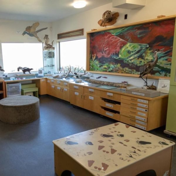 Displays-Discoevry-room-scaled