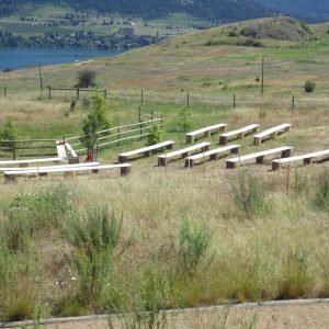 IMGP0520-Copy-scaled