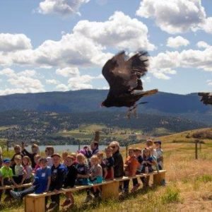 a-raptor-flight-demonstration